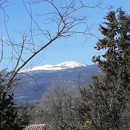 Laserregnol Saint-Cezaire-sur-Siagne Экстерьер фото